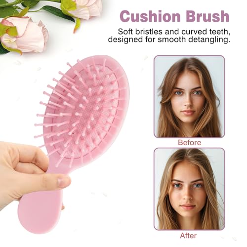 Zoolinn Mini Detangling Hair Brush 2-Pack Travel-Sized Pink Hairbrush