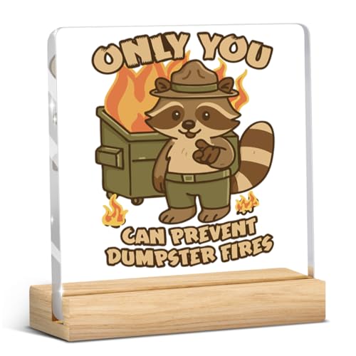 Raccoon Dumpster Fire Desk Sign - Funny Acrylic Office Decor 4x4"