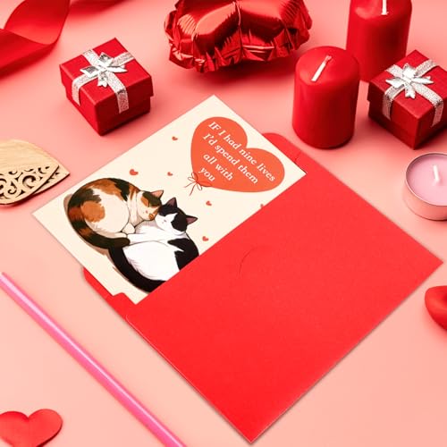 Valentine's Cat Greeting Card with Red Envelope - 8x5.3 inches