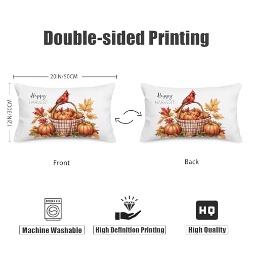 WitHero Fall Lumbar Pillow Cover - 12x20 Inch Double-Sided Print