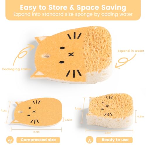 Leafre Cellulose Compressed Sponges - Avocado Sandwich Set, 10 Pack