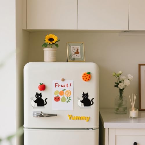4Pcs Acrylic Cat Whisker Organizer Magnets - Cute Keepsake Decor