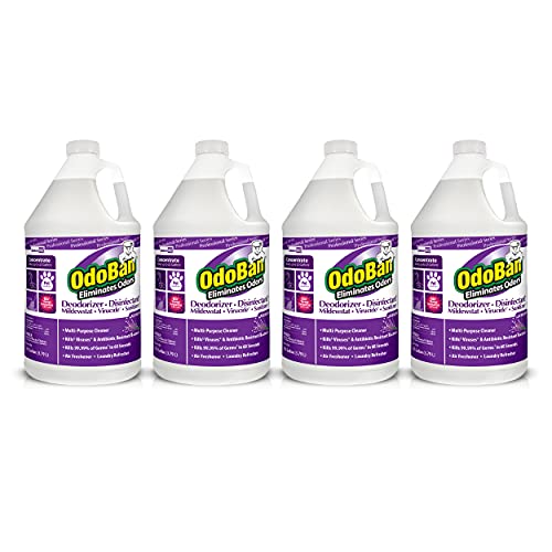 OdoBan Lavender Disinfectant Concentrate - 4 Gallons