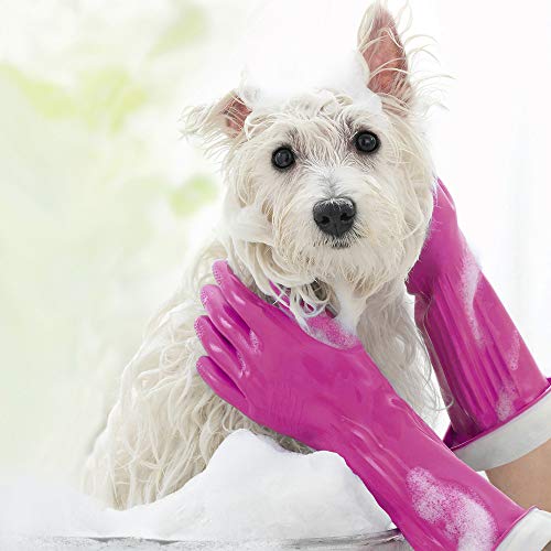 Playtex Living Reusable Rubber Cleaning Gloves, Small (Pack of 4)