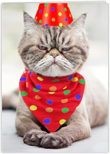 Grumpy Cat Birthday Card - Funny Greeting Card with Bonus Postcard