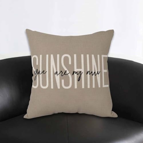 AOYEGO Multi-a294 You Are My Sunshine Throw Pillow Cover 18x18 Inch Inspirational Quote Cushion Case for Home Decor