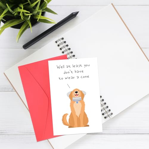 Funny Get Well Card with Envelope - Golden Retriever Design