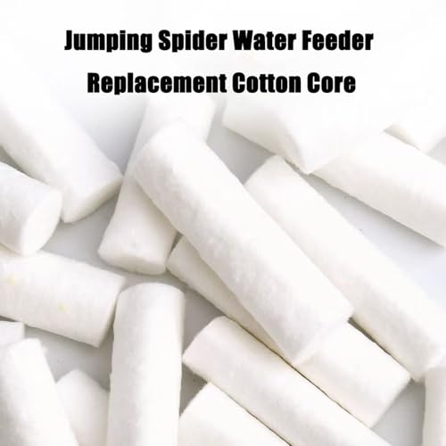 Jumping Spider Water Fountain Replacement Cotton Swabs 30 Pack