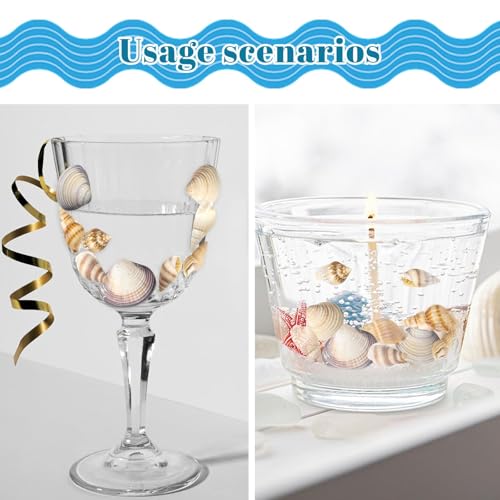 Natural Mixed Seashells for Crafts - 550 Piece Mini Shell Set for Decor