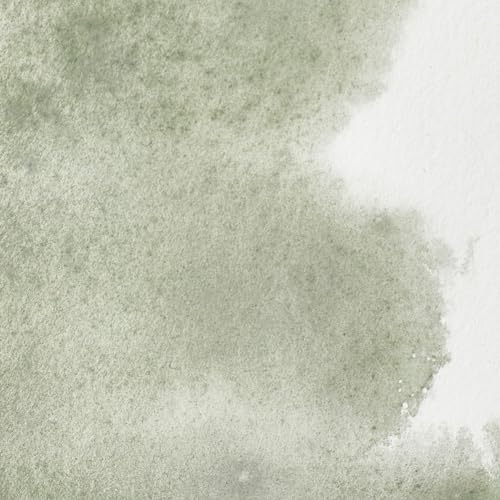 Winsor & Newton Professional Watercolor Paint, 14ml Tube - Davy's Gray