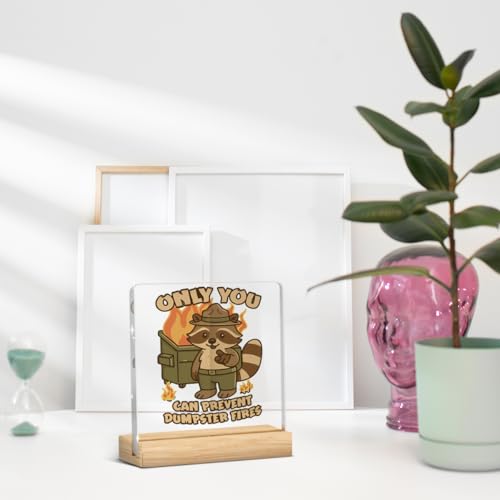 Raccoon Dumpster Fire Desk Sign - Funny Acrylic Office Decor 4x4"