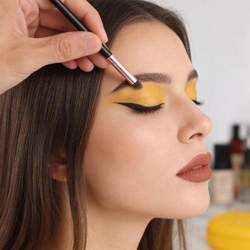 5 Pcs Eyeliner Smudge Brush Set Sponge Eyeshadow Applicators