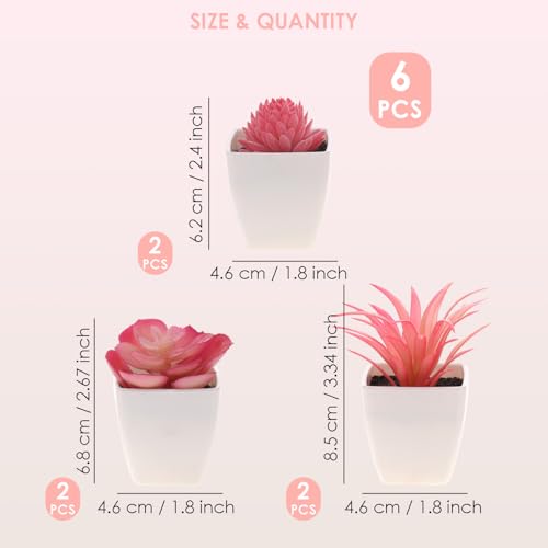Woration 6Pcs Mini Artificial Pink Succulent Plants in Pots