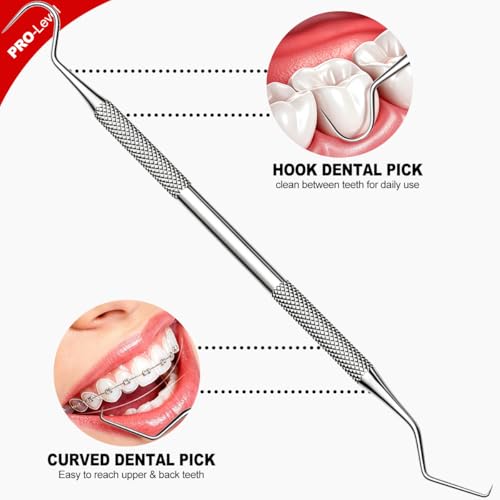G.CATACC 2 Pack Dental Pick and Plaque Remover Kit with Travel Case