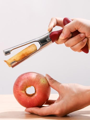 Stainless Steel Apple Corer Tool for Easy Core Removal