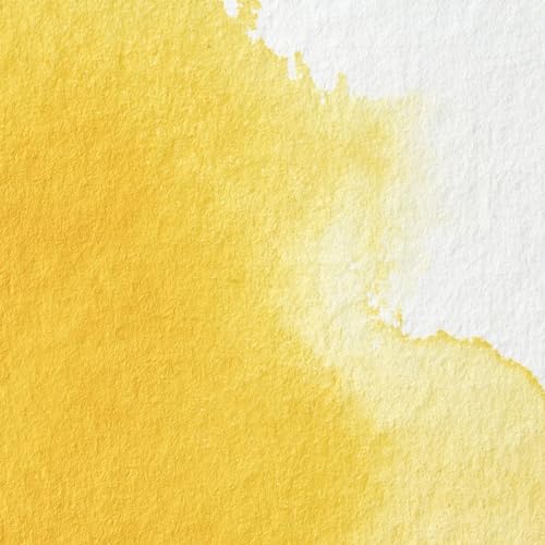 Winsor & Newton Professional Watercolor Paint, 5ml Tube, Cadmium Yellow Pale