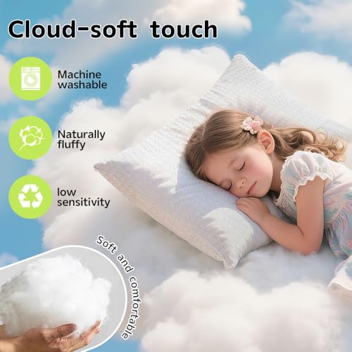 Toddler Pillow 13x18 Inch with Washable Cover for Ages 2-5