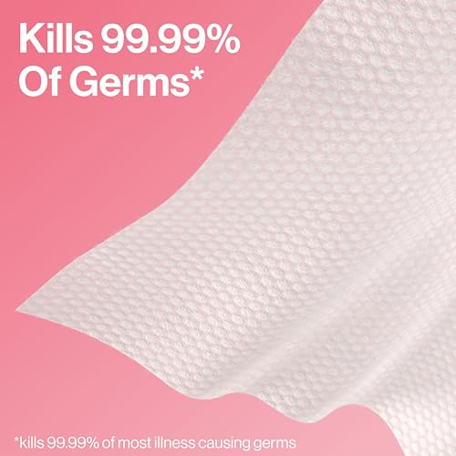 The Honest Company Antibacterial Sanitizing Wipes - 15 Ct, Grapefruit Grove