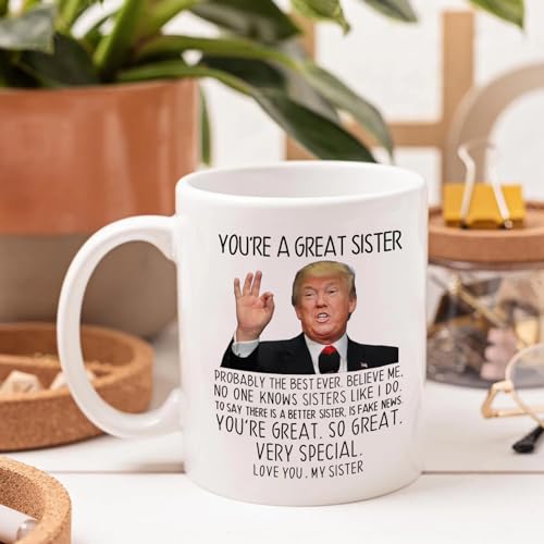 Funny Sister Mug - You're A Great Sister 11oz Ceramic Coffee Cup Gift