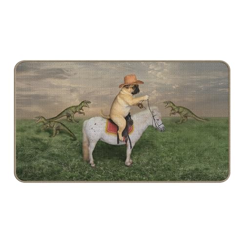 ZNGFON 07 Decor Dog Cowboy on Horse & Dragons Doormat 17x30 Indoor Outdoor