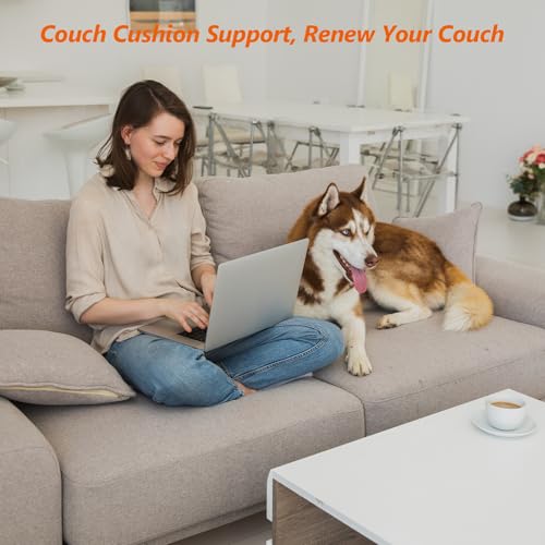 20"x20" Curved High-Density Foam Couch Support for Sagging Cushions