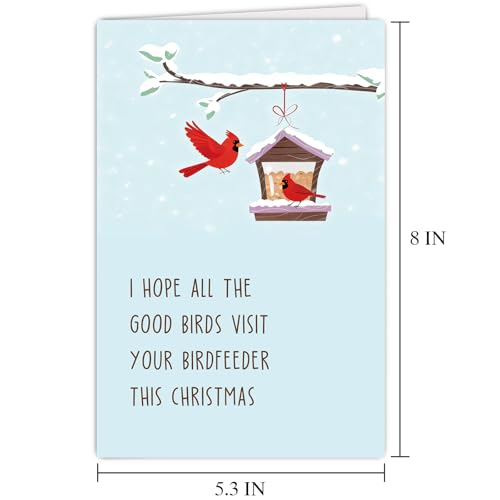 Funny Bird Feeder Christmas Card for Bird Lovers with Envelope