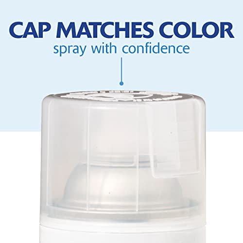Rust-Oleum Painter's Touch 2X Spray Paint, Gloss Clear, 12 oz (Pack of 4)