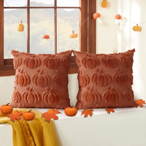 Coddsmz Fall Pumpkin Throw Pillow Covers 18x18 Inches Set of 2 Rust Caramel Plush Halloween Decor