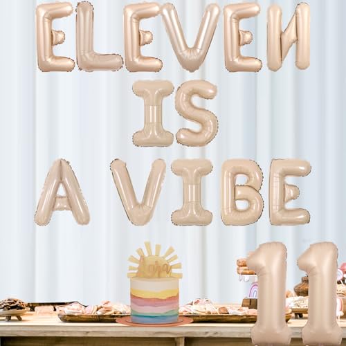 Groovy 11th Birthday Balloon Banner - Retro Daisy Decor