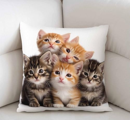Swono Kittens Family Cats Throw Pillow Cover Sw-014, 18x18 Inch