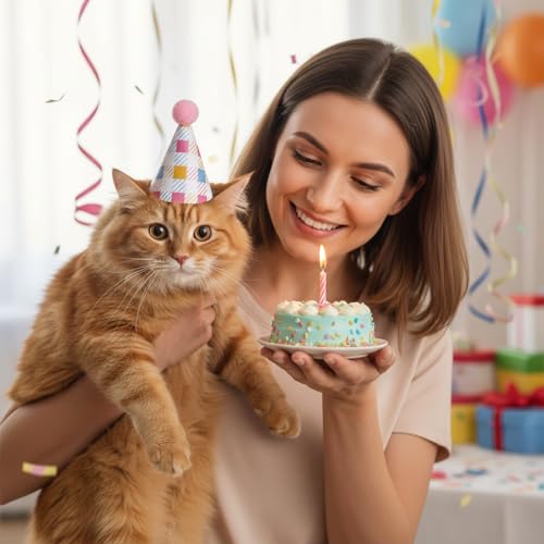 10 Cute Birthday Party Hats for Dogs and Cats