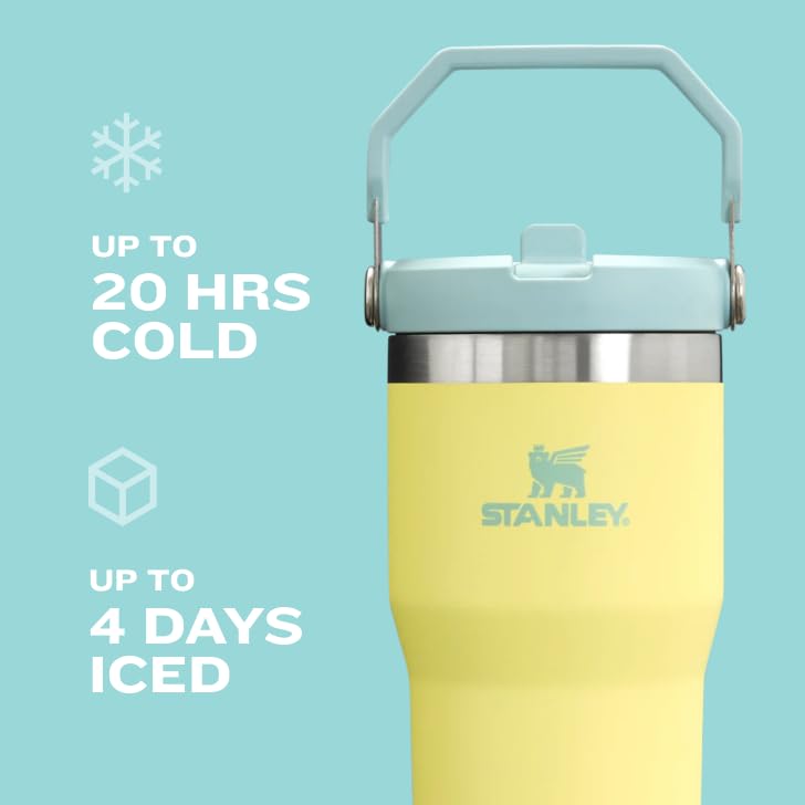 Stanley IceFlow Flip Straw Tumbler with Handle 30 oz | Twist On Lid and Flip Up Straw | Leak Resistant Water Bottle | Insulated Stainless Steel |BPA-Free | Pomelo