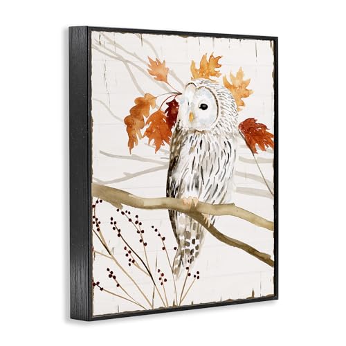 Stupell Industries Owl in Fall Forest Animal Watercolor Painting Black Framed Wall Art, 11x14, Design by Artist Victoria Borges