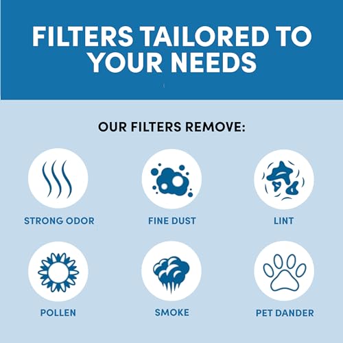 Veva 2-Pack HEPA Filters for Dyson V6 Absolute Vacuum - Allergy Relief