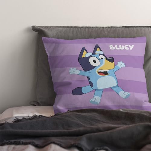 NORTHWEST Bluey Pillow, 18" x 18", Roll Call Bluey