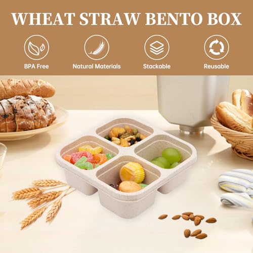 4-Pack Divided Snack Boxes for Meal Prep - Microwave Safe, Stackable