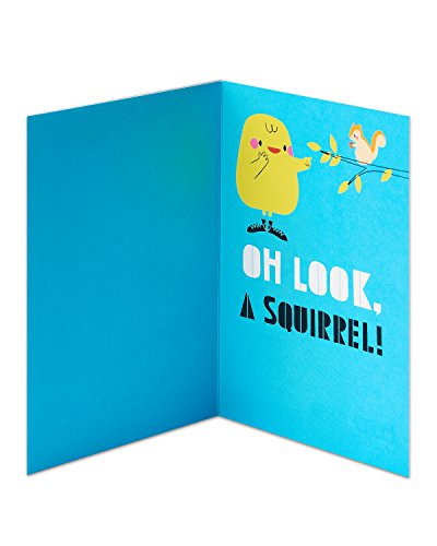 American Greetings Funny Birthday Card with Distracted Squirrel Design