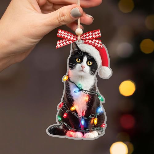 Personalized Black Cat Christmas Ornament 2025 - Funny Tree Decor