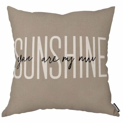 AOYEGO Multi-a294 You Are My Sunshine Throw Pillow Cover 18x18 Inch Inspirational Quote Cushion Case for Home Decor