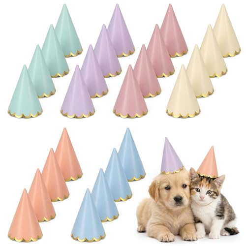 LLOUSSAK 24 Pcs Pastel Birthday Party Hats - Colorful Cone Headwear