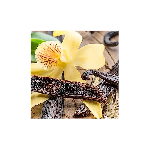 Langley Empire Candle Lemon Sugar Cookie Fragrance Bars - 2.5 Oz