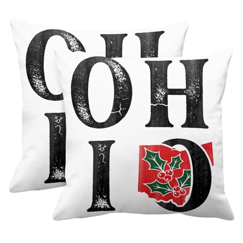 Emvency Ohio Buckeye Vintage Throw Pillow Covers, Set of 2, 18x18