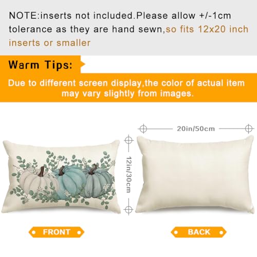 RABUSOFA Fall Pillow Cover 12x20 Aqua Pumpkin Autumn Decor - Multicolor