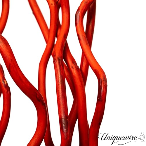 Natural Dried Mulberry Twigs for DIY Crafts & Decor - 59 Inch Red Variation