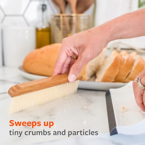 Full Circle Counter Clearer: Mini Kitchen Brush & Squeegee Tool
