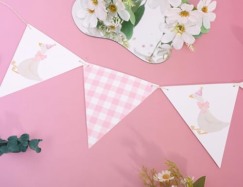 One Funny Goose Birthday Banner - Pink Gingham Baby Shower Decoration