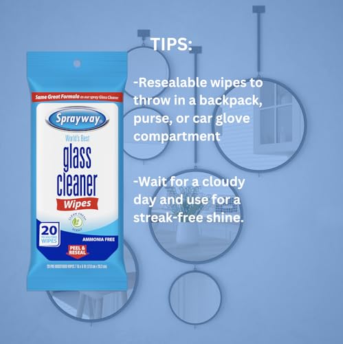 Sprayway Ammonia-Free Glass Cleaner Wipes, 20-Count Packs (12-Pack)