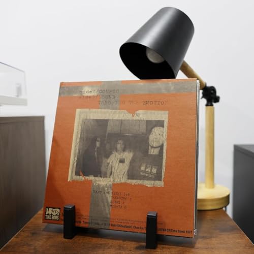 Vinyl Record Holder - 1 Piece Metal Display Stand for Albums