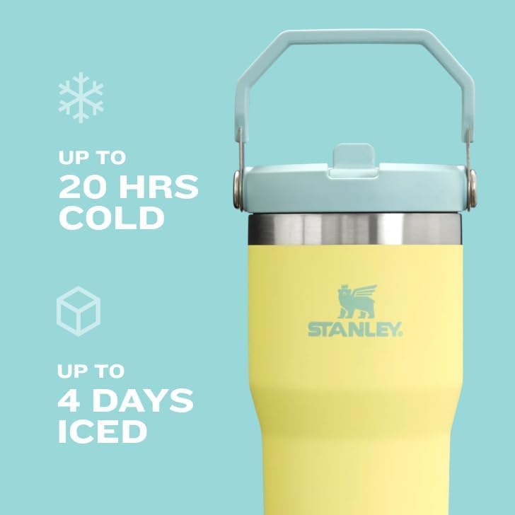 STANLEY IceFlow 2.0 Tumbler - 30 oz Insulated Water Bottle with Flip Straw & Handle | BPA-Free Violet Blossom