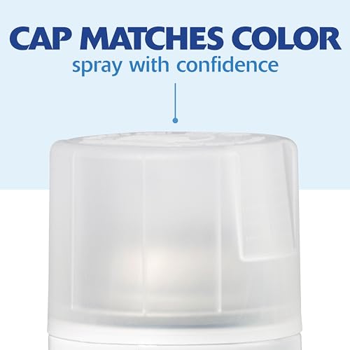 Rust-Oleum Painter's Touch 2X Spray Paint - Satin Clear, 12 oz (Pack of 4)